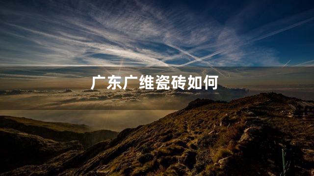 广东广维瓷砖如何