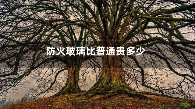 防火玻璃比普通贵多少