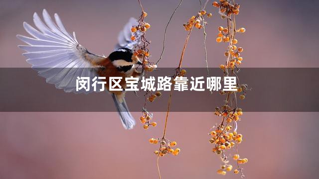 闵行区宝城路靠近哪里