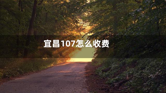 宜昌107怎么收费