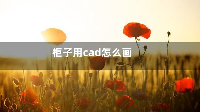 柜子用cad怎么画