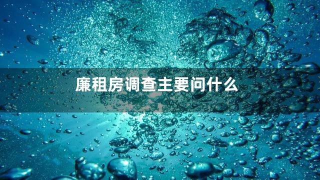 廉租房调查主要问什么