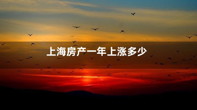 上海房产一年上涨多少