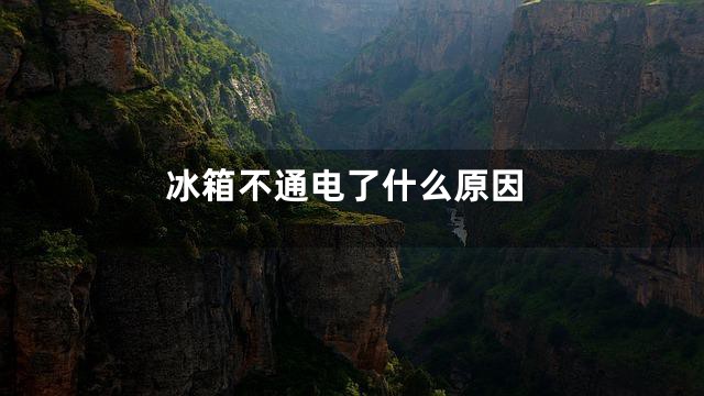 冰箱不通电了什么原因