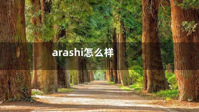 arashi怎么样