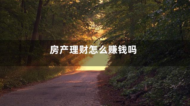 房产理财怎么赚钱吗