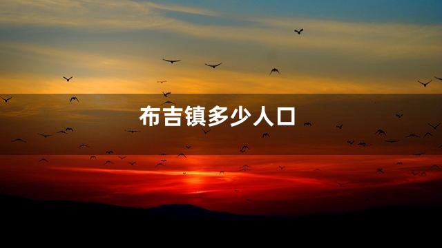 布吉镇多少人口
