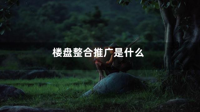 楼盘整合推广是什么