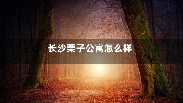 长沙栗子公寓怎么样