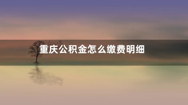 重庆公积金怎么缴费明细