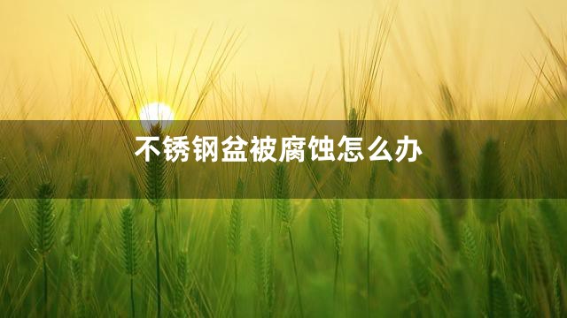 不锈钢盆被腐蚀怎么办