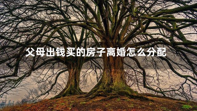 父母出钱买的房子离婚怎么分配