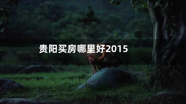 贵阳买房哪里好2015