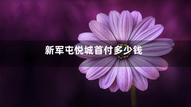 新军屯悦城首付多少钱