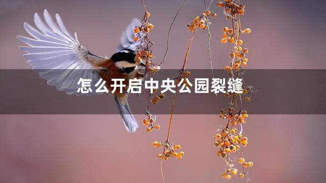 怎么开启中央公园裂缝