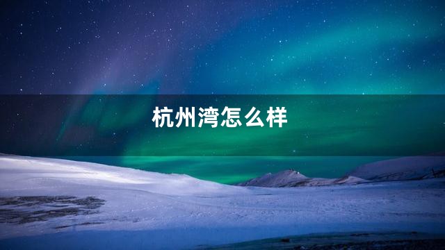 杭州湾怎么样
