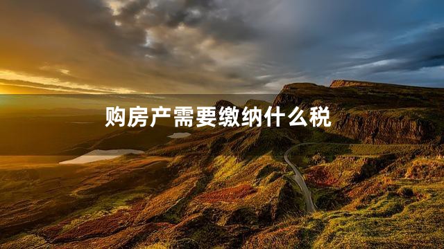 购房产需要缴纳什么税