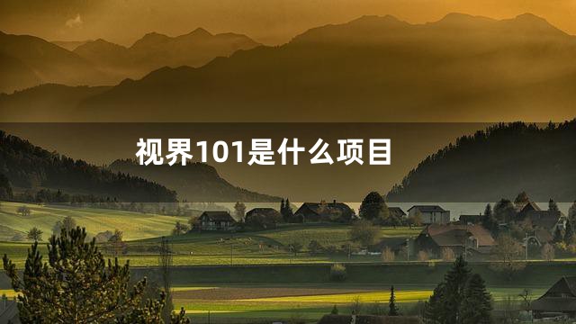 视界101是什么项目