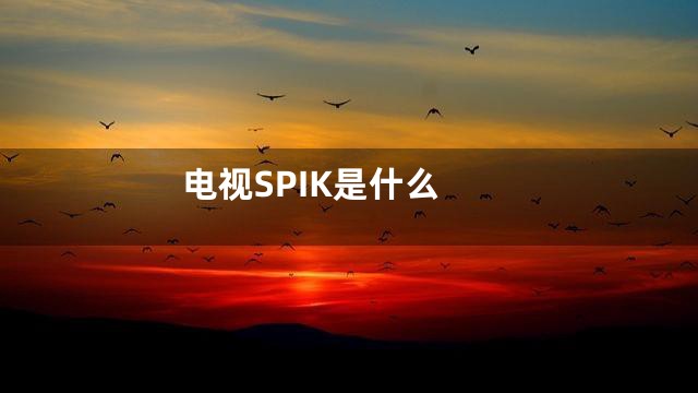 电视SPIK是什么