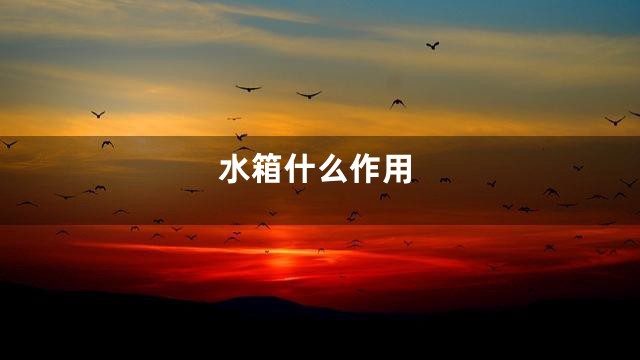 水箱什么作用