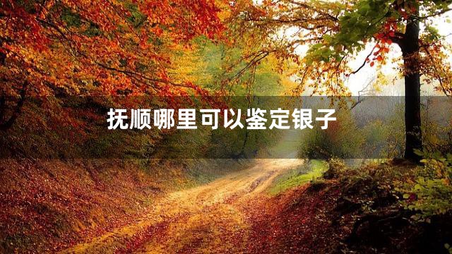 抚顺哪里可以鉴定银子