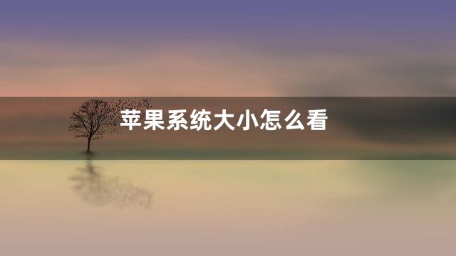 苹果系统大小怎么看