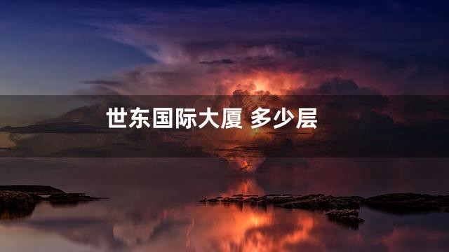 世东国际大厦 多少层