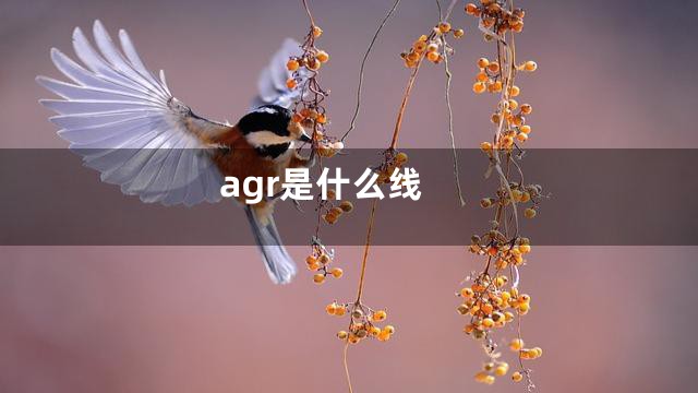 agr是什么线