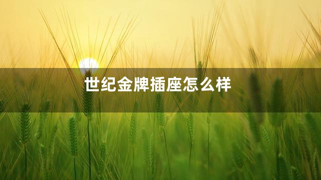 世纪金牌插座怎么样