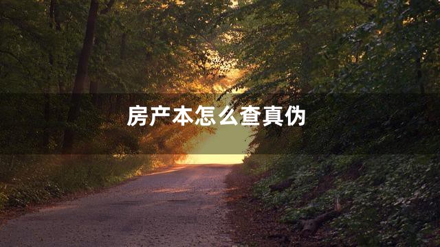 房产本怎么查真伪