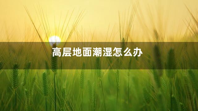 高层地面潮湿怎么办