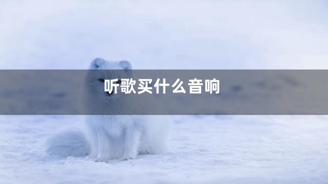 听歌买什么音响