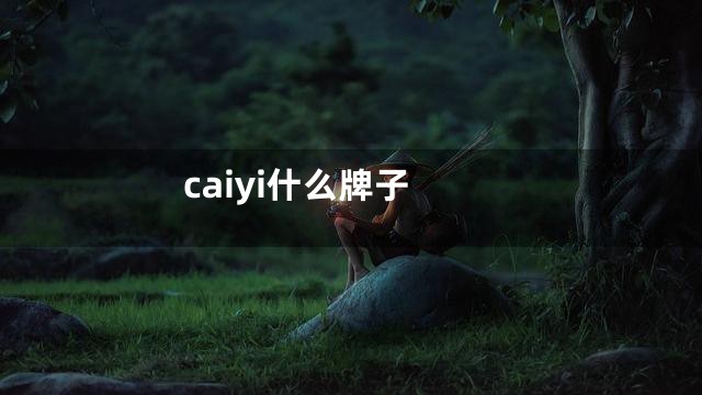 caiyi什么牌子