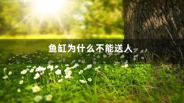 鱼缸为什么不能送人