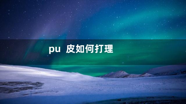 pu  皮如何打理