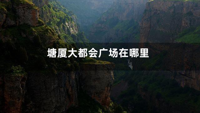 塘厦大都会广场在哪里