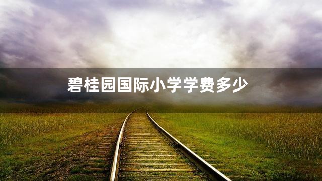 碧桂园国际小学学费多少