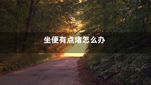 坐便有点堵怎么办
