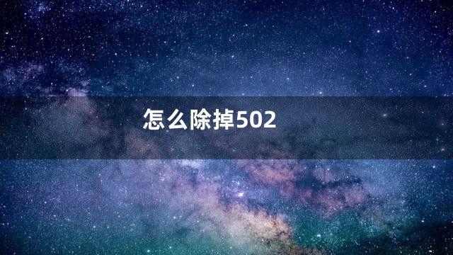 怎么除掉502