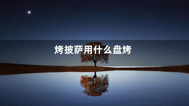 烤披萨用什么盘烤