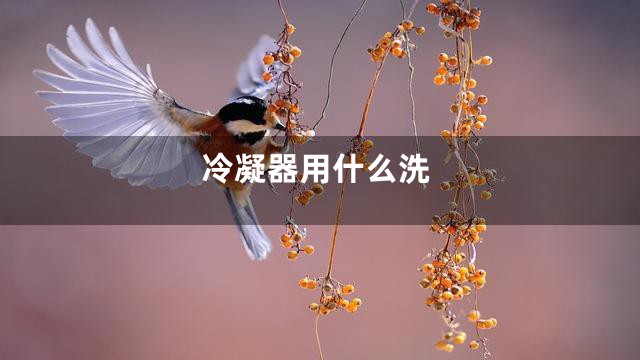 冷凝器用什么洗
