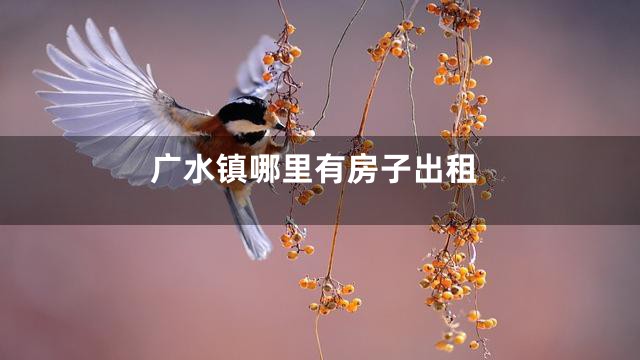 广水镇哪里有房子出租