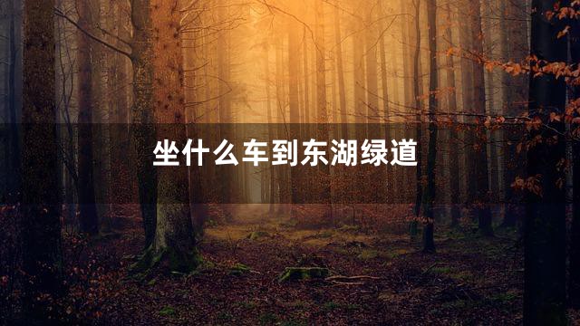 坐什么车到东湖绿道