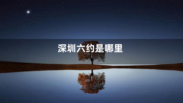 深圳六约是哪里