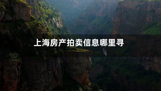 上海房产拍卖信息哪里寻