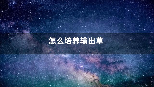 怎么培养输出草