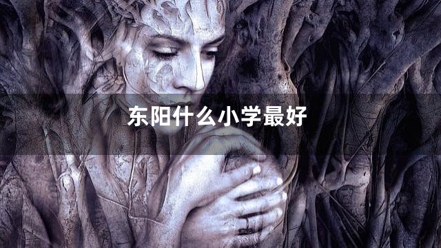 东阳什么小学最好