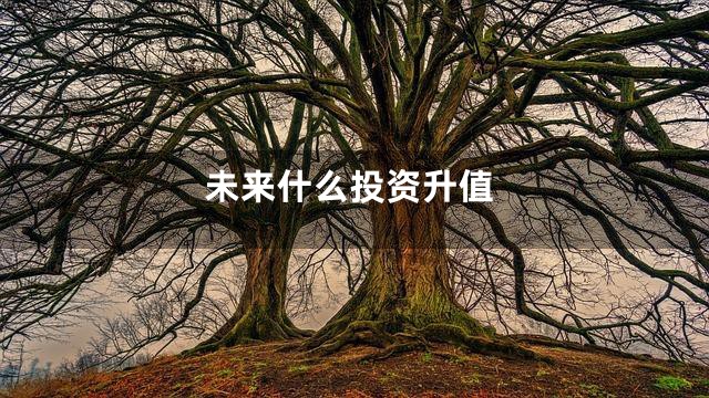 未来什么投资升值