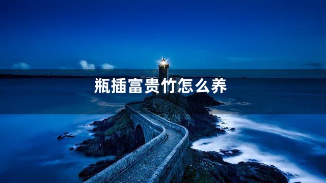 瓶插富贵竹怎么养