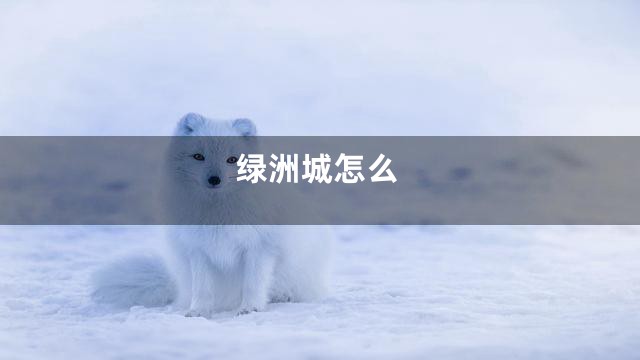 绿洲城怎么